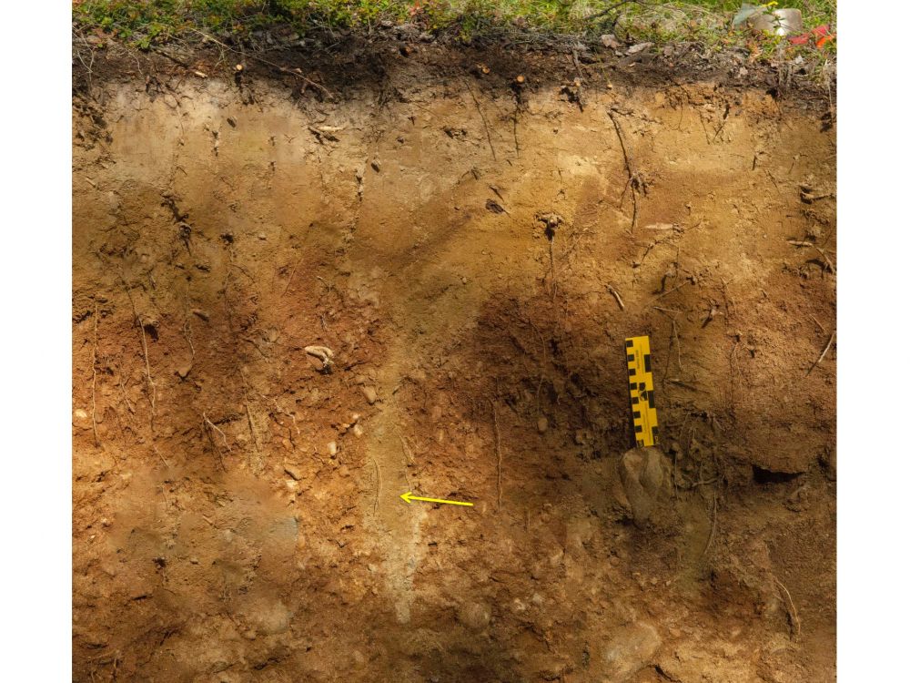 A soil pit showing different colors and layers of soil - Yukon paleosol. The lower glacial outwash deposits have a clay-rich, reddish soil horizon indicating a long period of soil formation and soil weathering. The upper wind-blown loess deposit is much younger and is less weathered. The sand wedge into the outwash deposit is evidence of a period of intensive frost action that affected the lower soil layer. Photo courtesy of Paul Sanborn. © Paul Sanborn, UNBC; licensed under a CC BY (Attribution) license. 