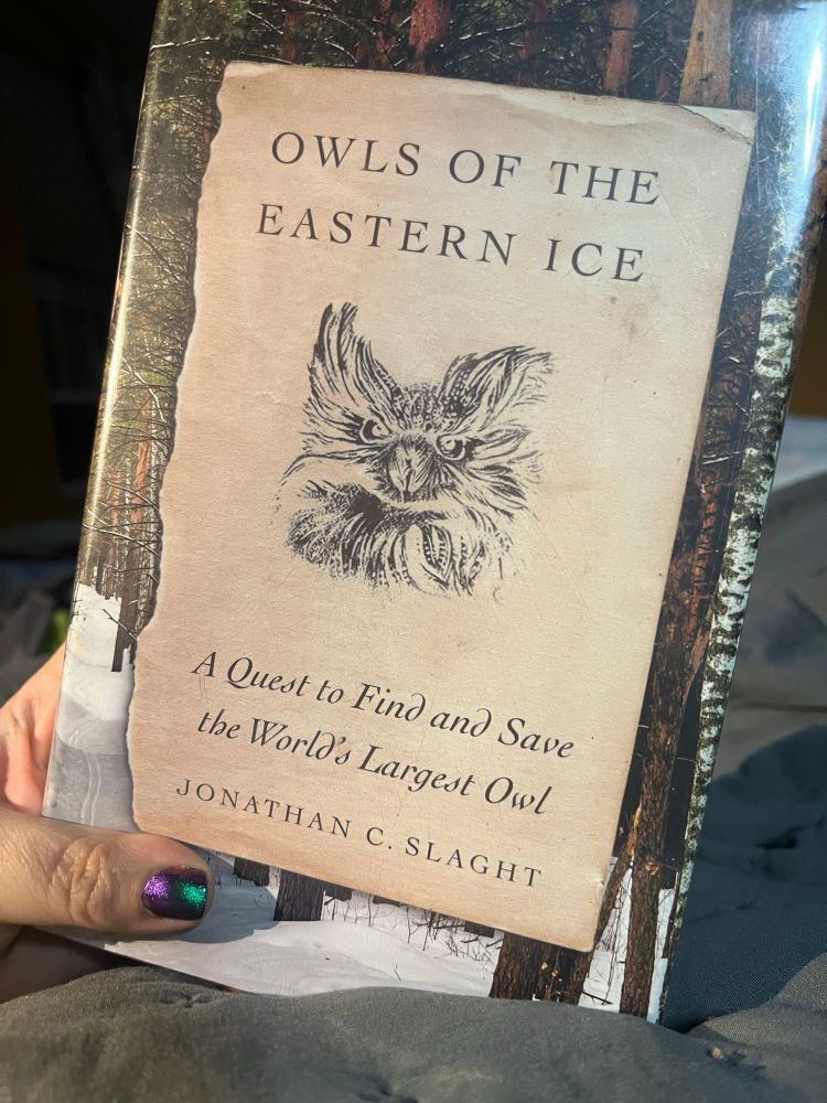 Cover of Owls of The Eastern Ice: A Quest to Find and Save the World’s Largest owl 