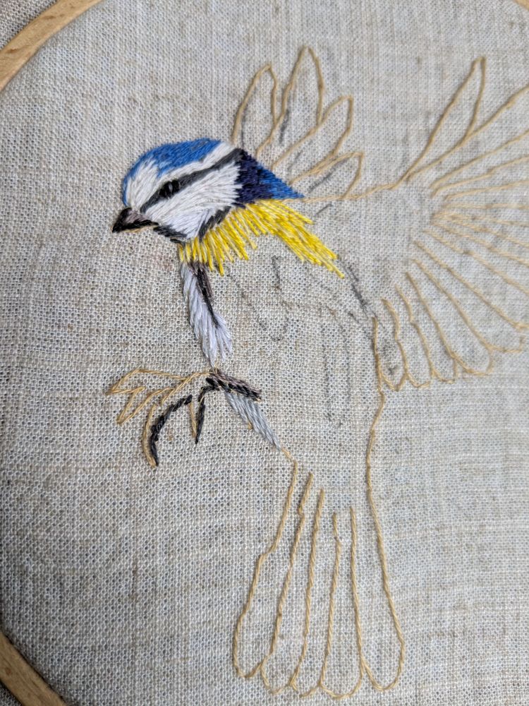 Broderie de la mésange bleue en cours. La tête est finie, le reste n'existe qu'en contours beige.