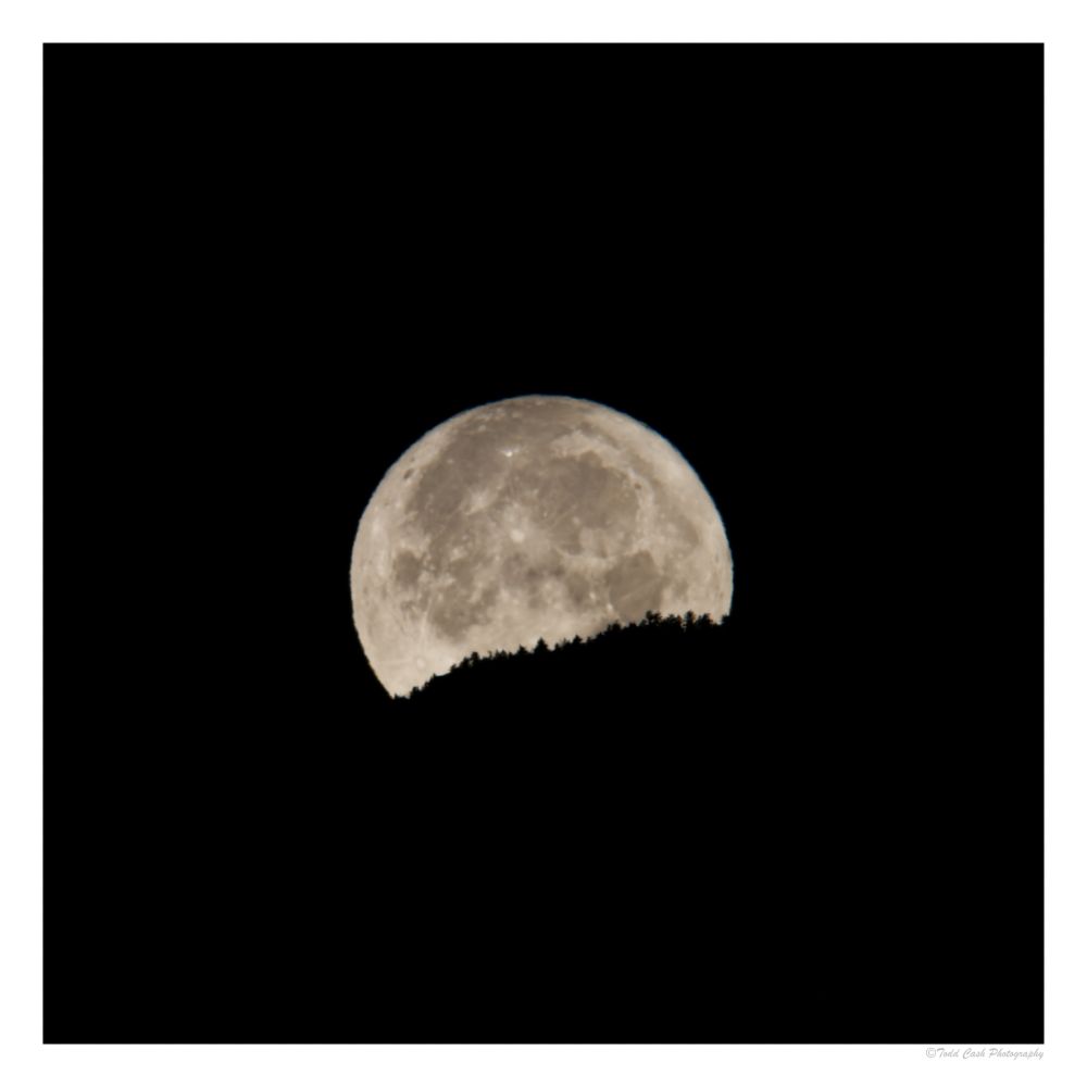 July full moon sitting behind mountain ridge. Pine trees visible in silhouette against the moon.