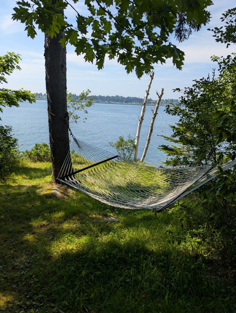 Hammock in the woods on a small cliff overlooking the water