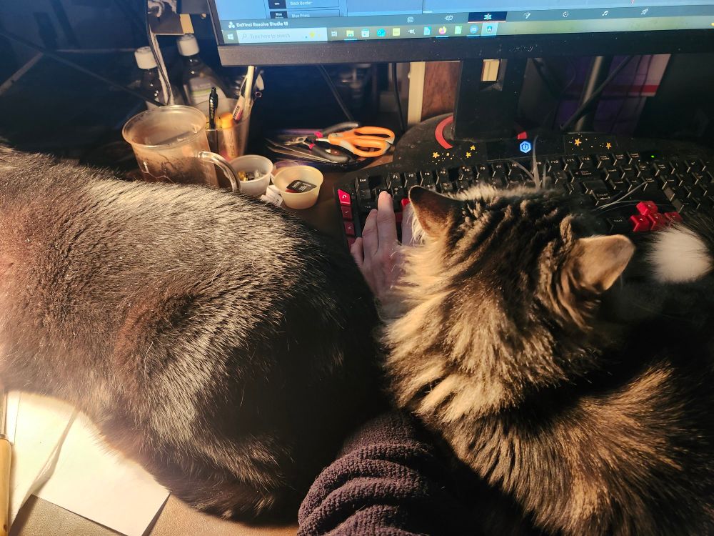 A hand on a keyboard squished between two cats laying on either side. The picture is taken from the perspective of the person whose arm it is.