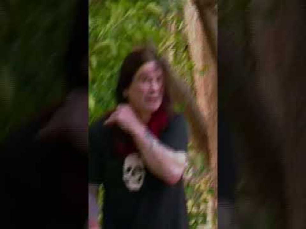 Ozzy Osbourne looking for a cat.