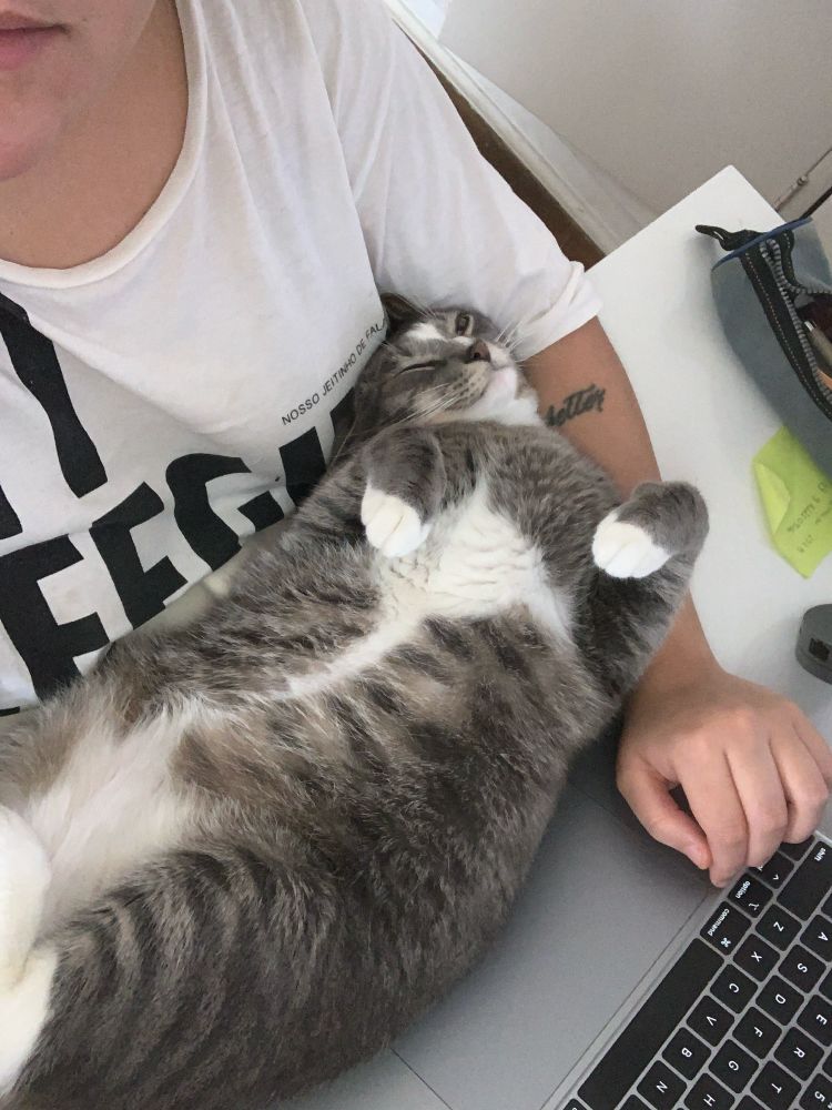 trabalhe enquanto eles dormem