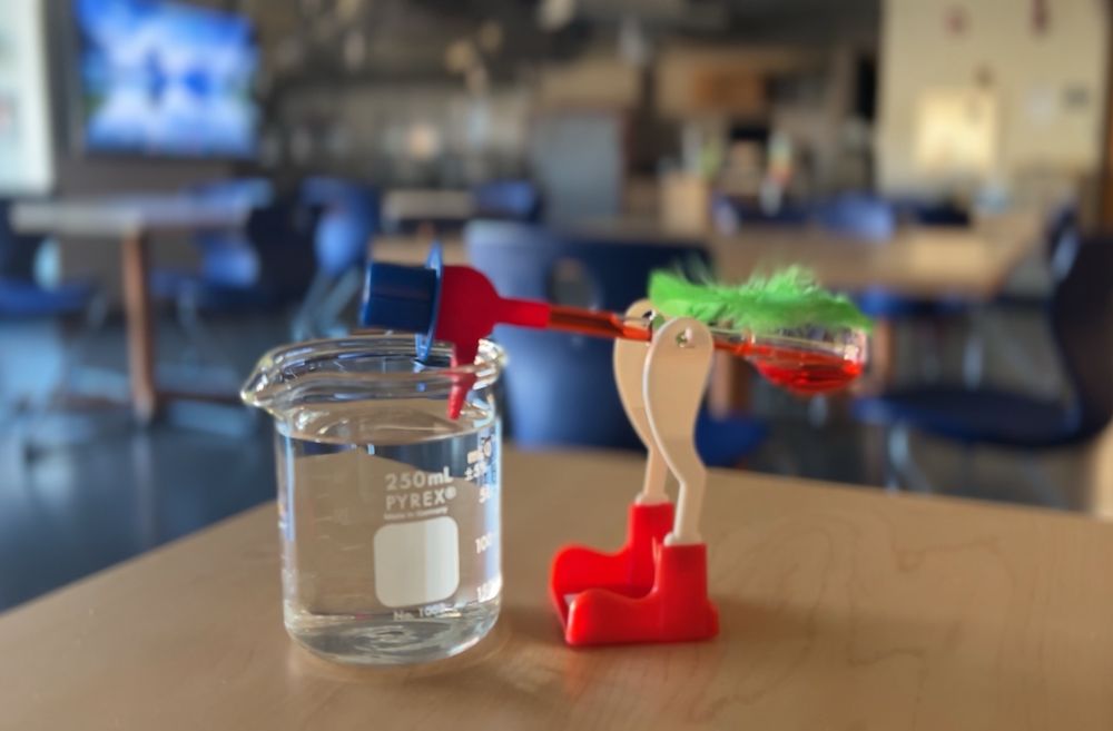 Drinking bird toy sips water out of a beaker in a science classroom. 