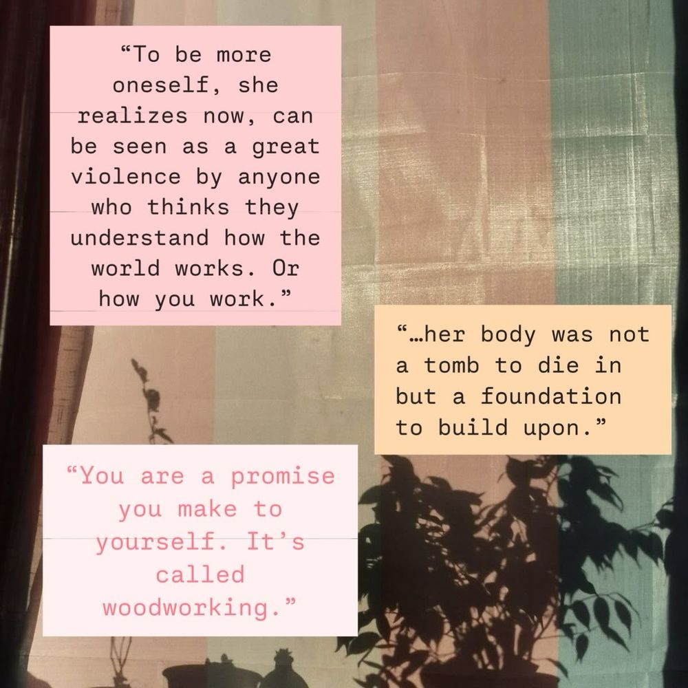 A trans flag hanging in a window and the shadow of a house plant against it. 
Over lapping are 3 quotes I found impactful from the book.
“To be more oneself, she realizes now, can be seen as a great violence by anyone who thinks they understand how the world works. Or how you work.”
“You are a promise you make to yourself. It’s called woodworking.”
“…her body was not a tomb to die in but a foundation to build upon.” 