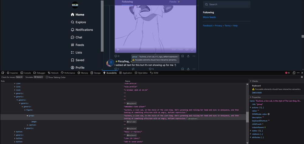 Screenshot of FizzyDog's video post on the bluesky timeline, with a balloon displaying the alt text, and Firefox's dev tools open on "Accessibility" with the video element higlighted and showing the same alt text