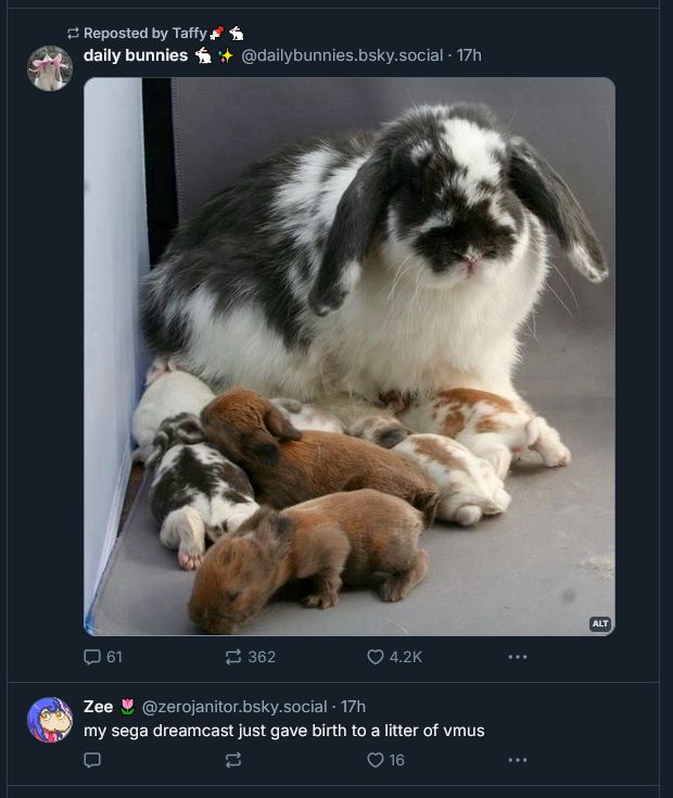 Screenshot of two consecutive Bluesky posts:
https://bsky.app/profile/dailybunnies.bsky.social/post/3lpuliozpj22r (by "daily bunnies" containing an image of "A gray and white bunny sits protectively with a litter of baby bunnies in various fur colors.") immediately followed by https://bsky.app/profile/zerojanitor.bsky.social/post/3lpul7cnvf22b (by ZeroJanitor/Zee, with text "my sega dreamcast just gave birth to a litter of vmus")