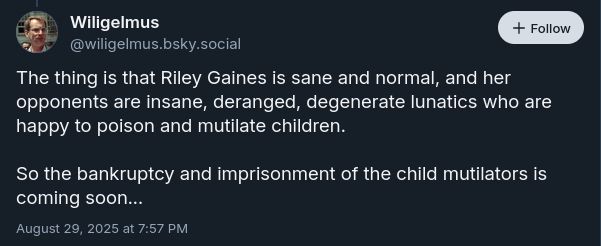 Screenshot of transphobic post from asshole with the handle @wiligelmus.bsky.social Post ends with 