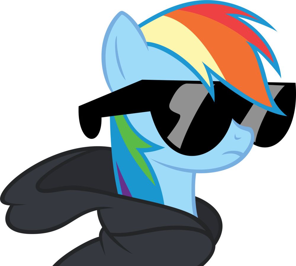 Rainbow Dash in sunglasses and a black hoodie