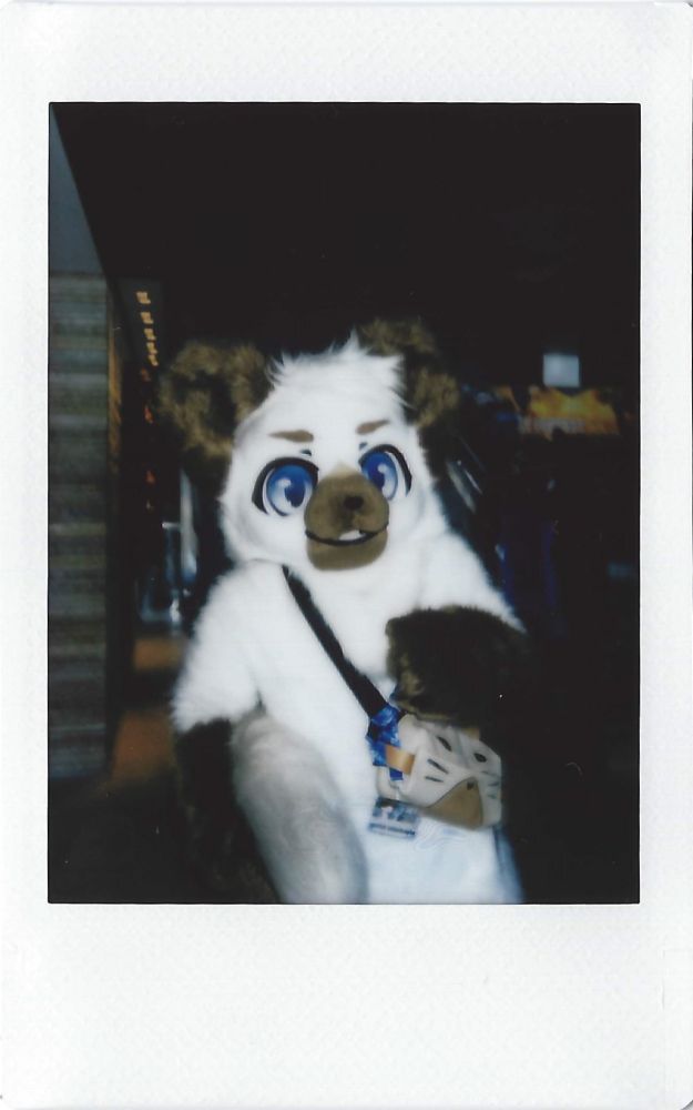 @catwithbowl.bsky.social