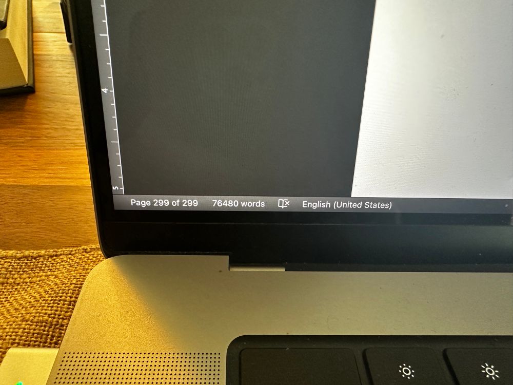 Page count 299, word count 76,480