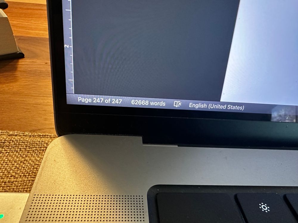 Page count: 247, word count: 62,668