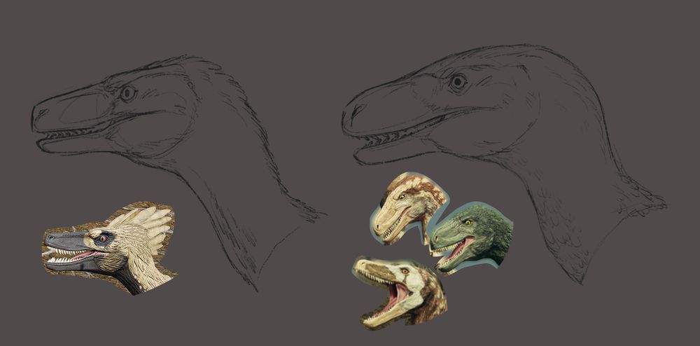 Path of Titans Deinonychus vs Latenivenatrix head comparison sketch. old guideline for a friend on how I draw the difference