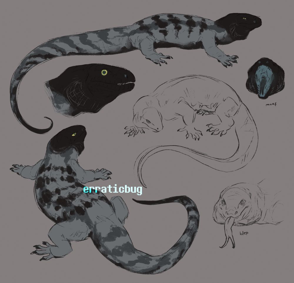 Argentine black and white Tegu (personal sona)