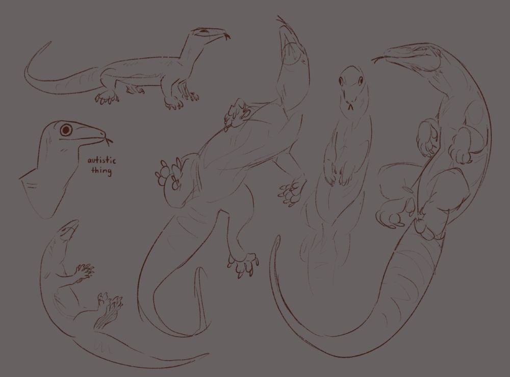 silly Megalania doodles