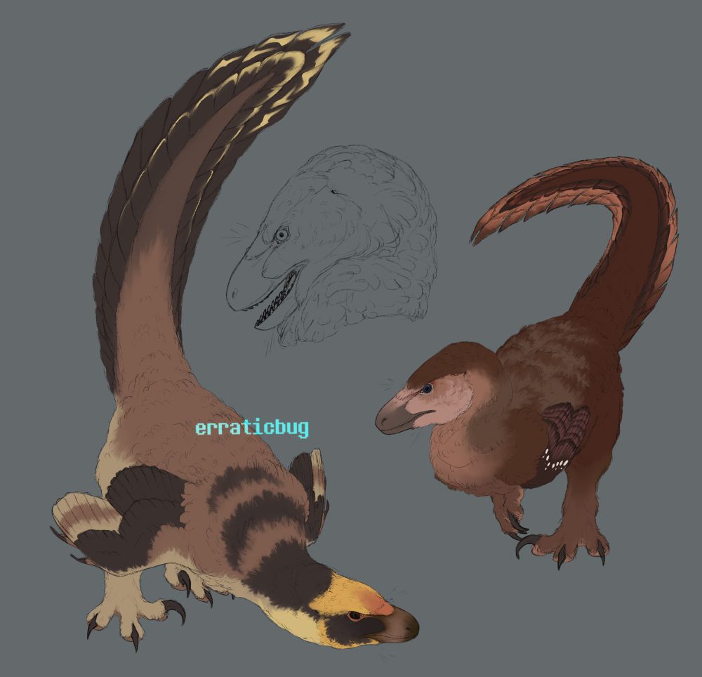 unfinished/WIP unspecified Dromaeosaurids Seven Red Suns and Five Pebbles (Rain World) Suns is based on multiple different birds (harpy eagle, great eared nightjar, western kingbird, common yellowthroat) and Pebbles is based on an Oilbird (i fucking love those things. look at them.)