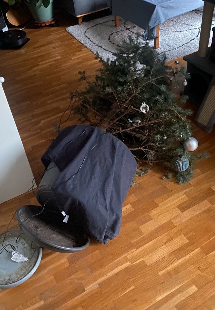 Sapin à terre, je répète, sapin à terre