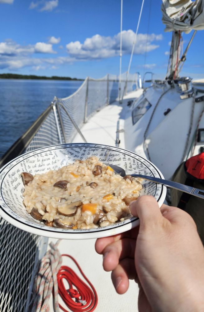 Plate with risotto on deck on a sailboat