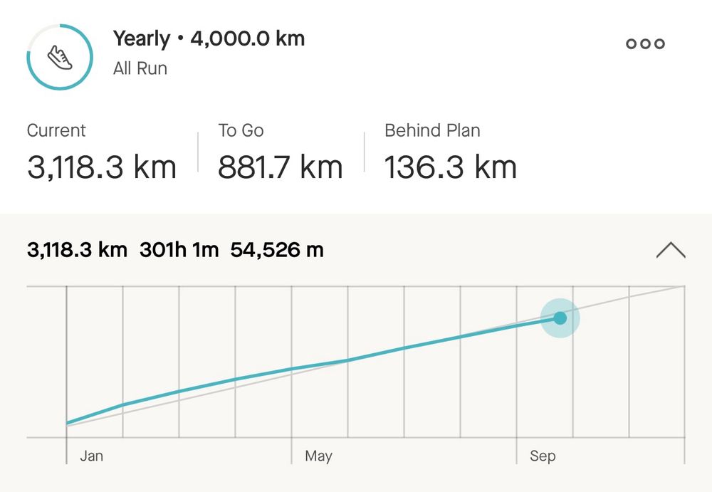 Current: 3118.3 km / to go: 881.7 km / behind plan: 136.3 km