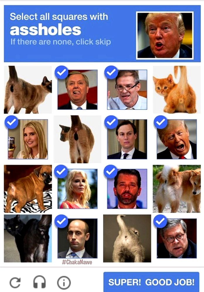 Select the squares with assholes