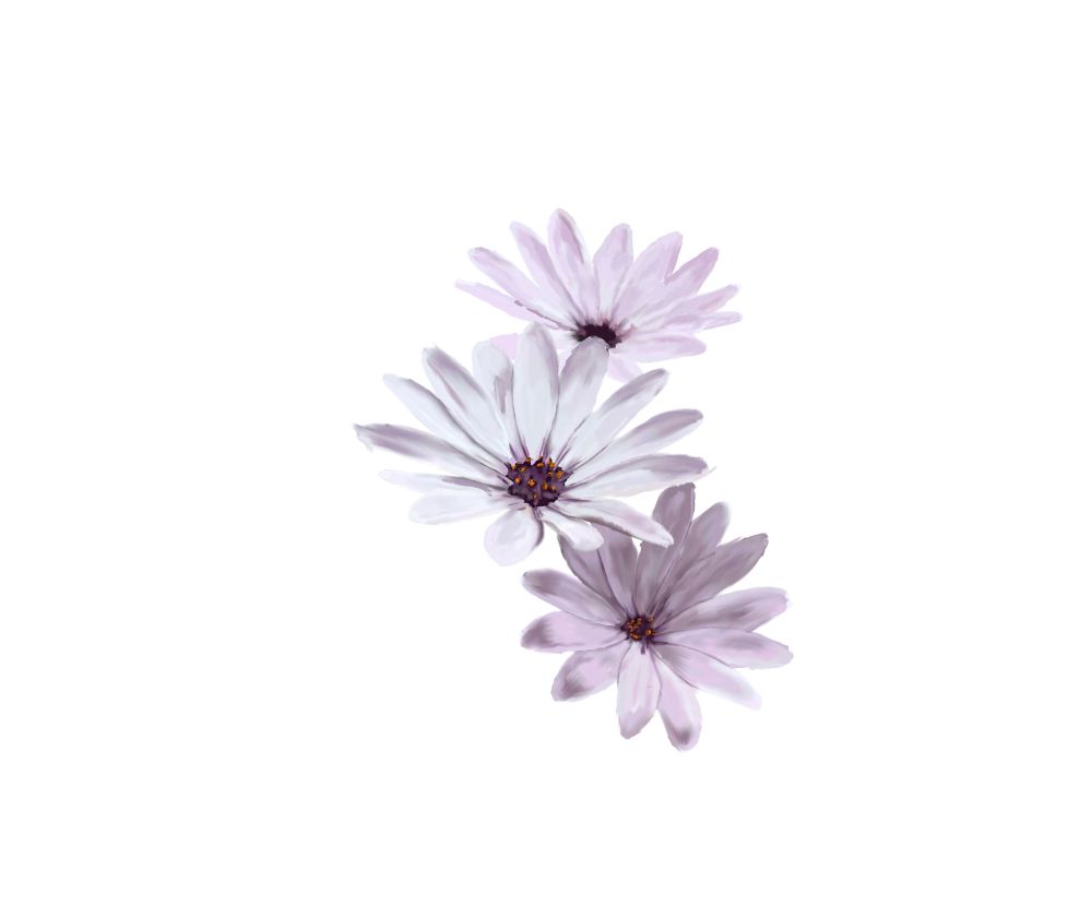 Drawing of three purple/white daisies on top of each other 