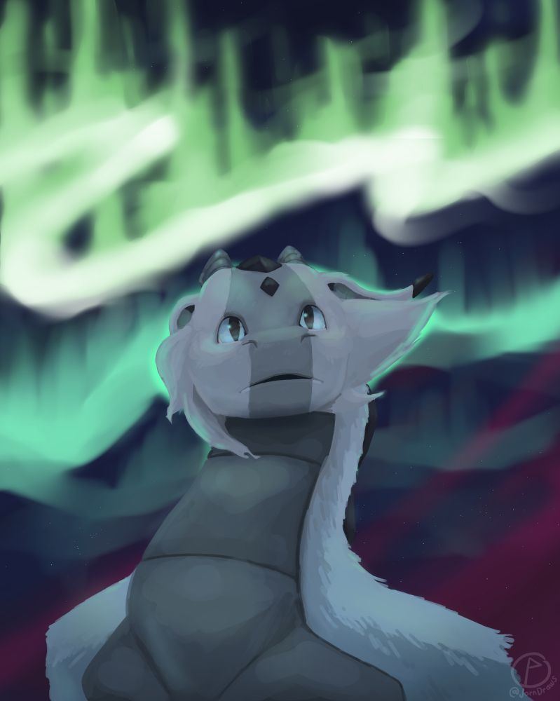 Jörn looking up at the Northen lights