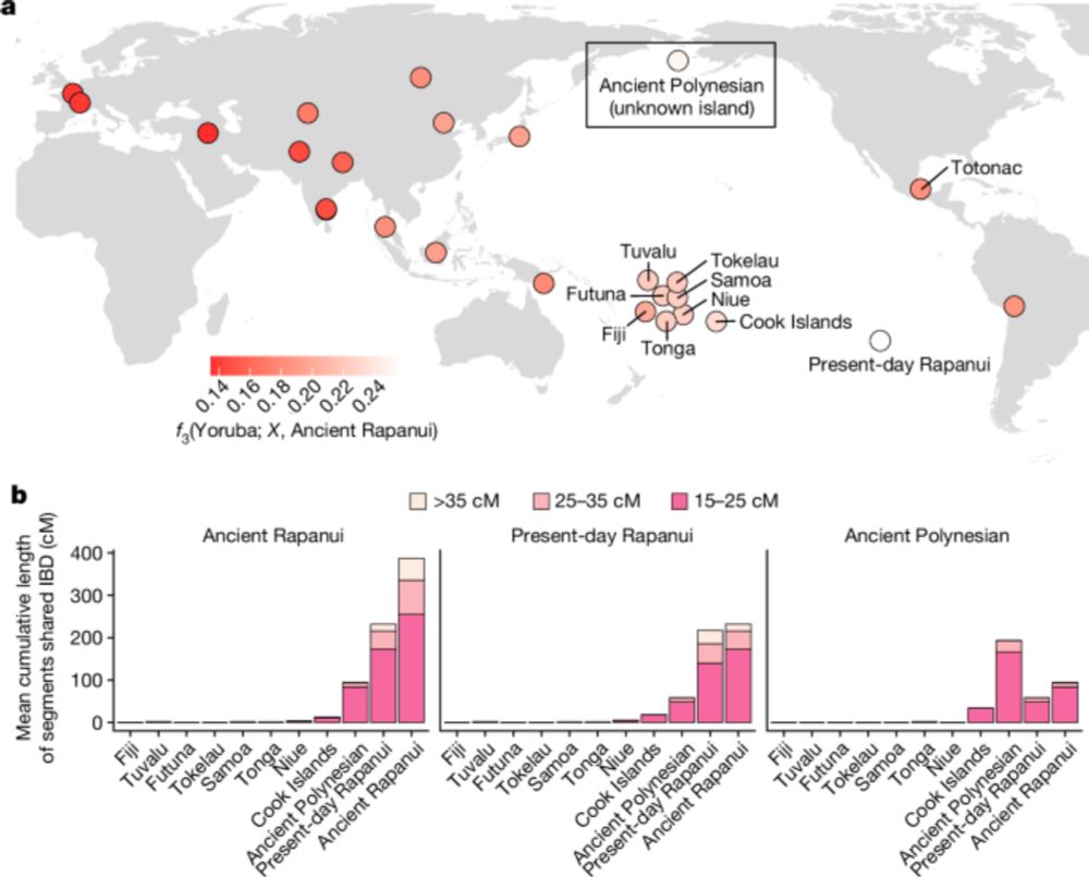 Ancient Rapanui genomes reveal resilience and pre-European contact with the Americas - Nature