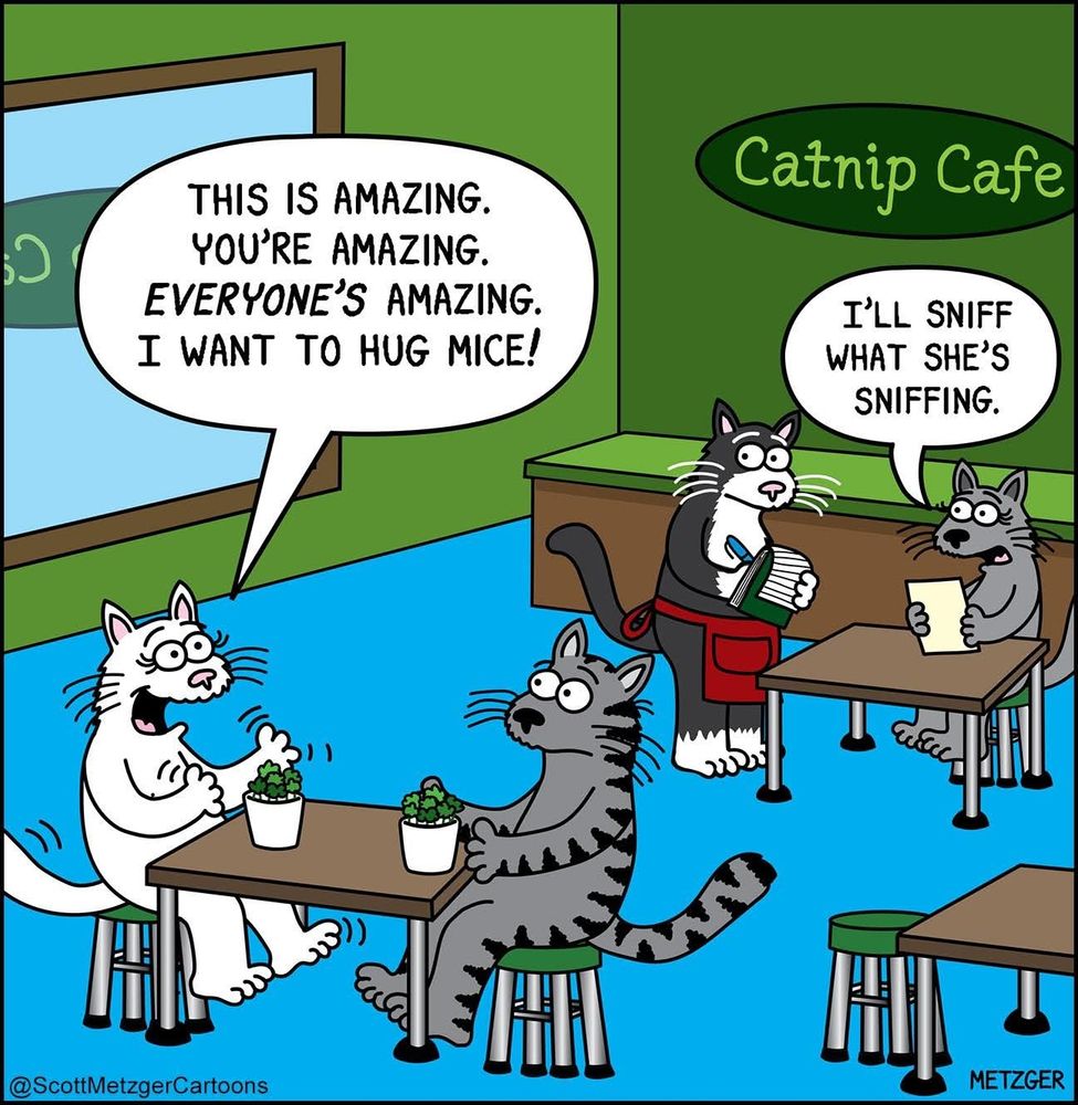 Cats sitting at tables in a Catnip Cafe

First cat: This is amazing. You're amazing. Everyone's amazing. I want to hug mice!

Second cat at another table: I'll sniff what she's sniffing.