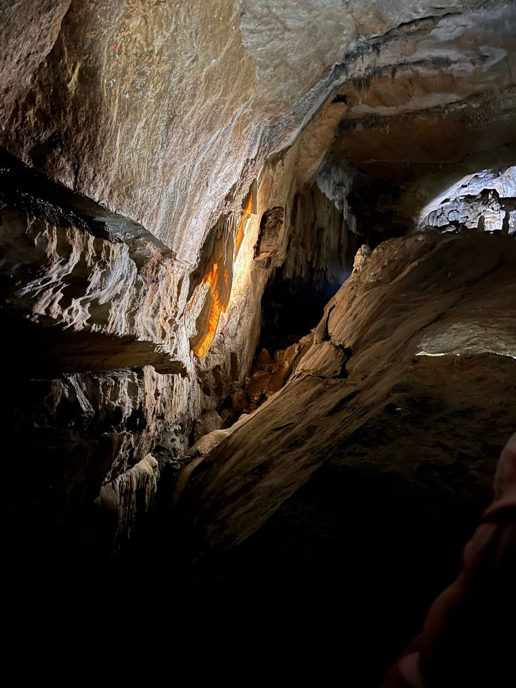 Cave bacon “angel’s wing”.