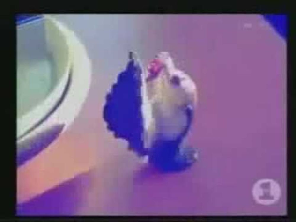 sonnenschutz, benutzen sie sonnencreme.