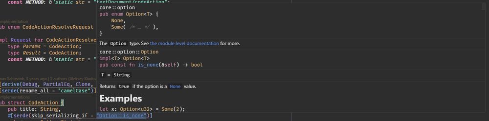A screenshot of a VSCode hoverbox from hovering the string literal in `#[serde(skip_serializing_if = "Option::is_none")]`
