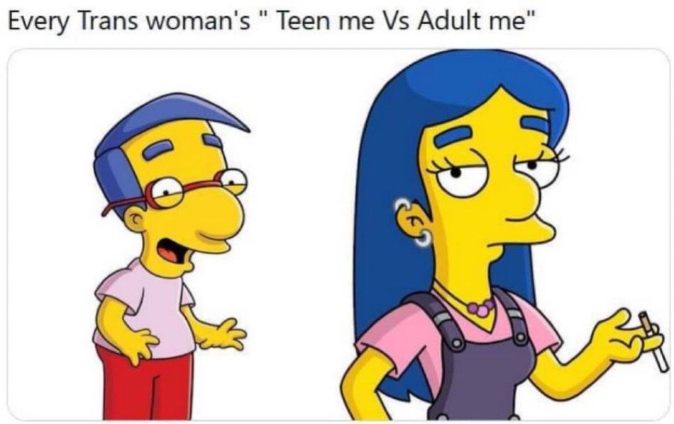 A meme: 
The text says every Transwoman’s teen me versus adopt me and it is a picture of Millhouse from The Simpsons looking dorky, and then a Simpsons character that I am unfamiliar with that looks pretty “” serves Cunt