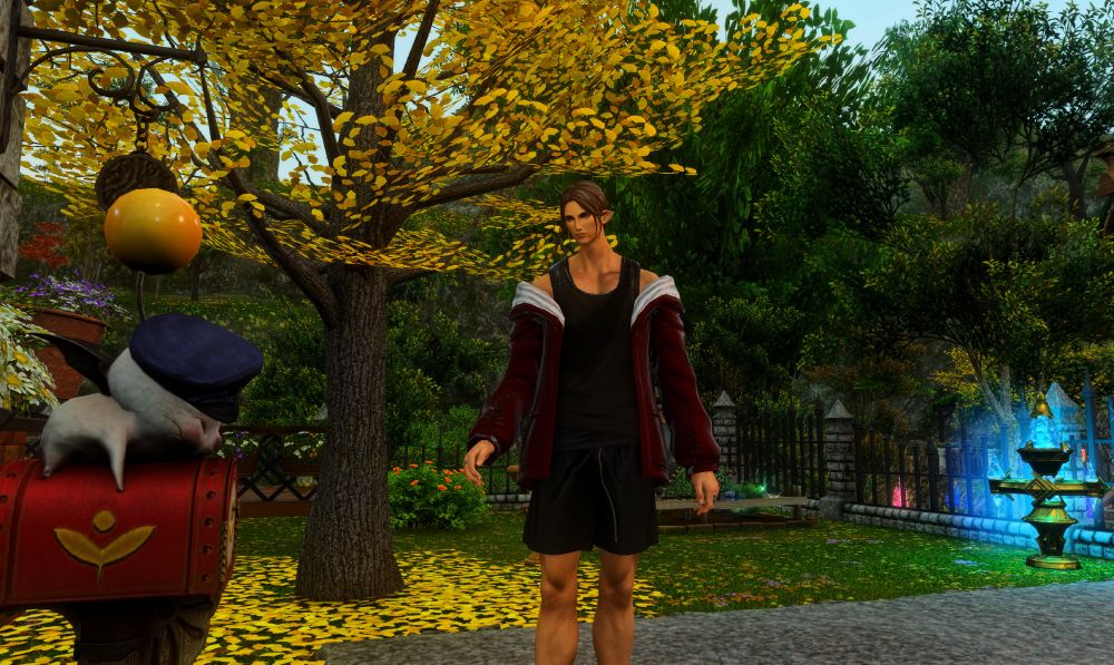 Pretty sure Estinien kicked him outta bed before 6am to check the moogle box for his order of dried squid. 