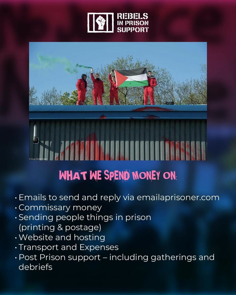 RIPS logo with our name next to it in bold white at the top. 
Below it it is an image of some activists holding the Palestinian Flag on top of a building.
Below it says in bold pink " What we spend money on" with the below written in bullet points:
- Emails to send and reply via emailaprisoner.com 
- Commissary money 
- sending people things in prison (printing and postage) 
- website hosting 
-transport and expenses 
- Post priosn support — including gatherings and debriefs

END OF TEXT