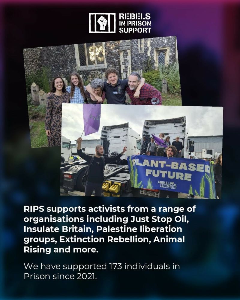 RIPS logo at the top with our name next to it in bold white. 
Below are two photos, one of the Whole Truth Five and the other of Animal Rising (previously Animal Rebellion) activists holding a "plant-based future" banner. 
Below it is text in bold white which says:
" RIPS supports activists from a range of organisations including Just Stop Oil, Insulate Britain, Palestine liberation groups, Extinction Rebellion, Animal Rising and more. 
We have supported 173 individuals in prison since 2021."
