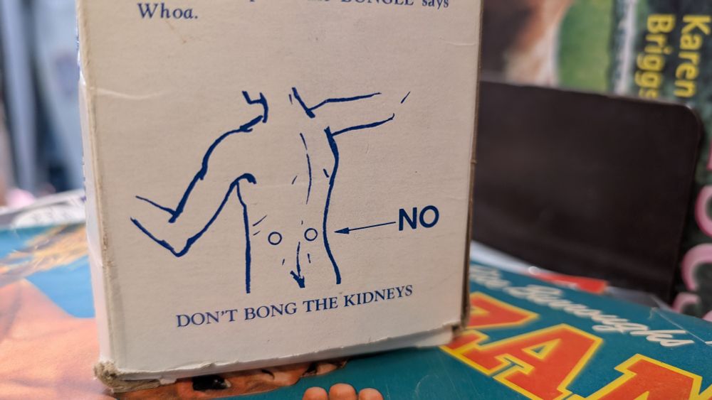 An illustration of a person's back with the kidney areas circled and an arrow pointing at them and the word "NO". Underneath it reads "DON'T BONG THE KIDNEYS"