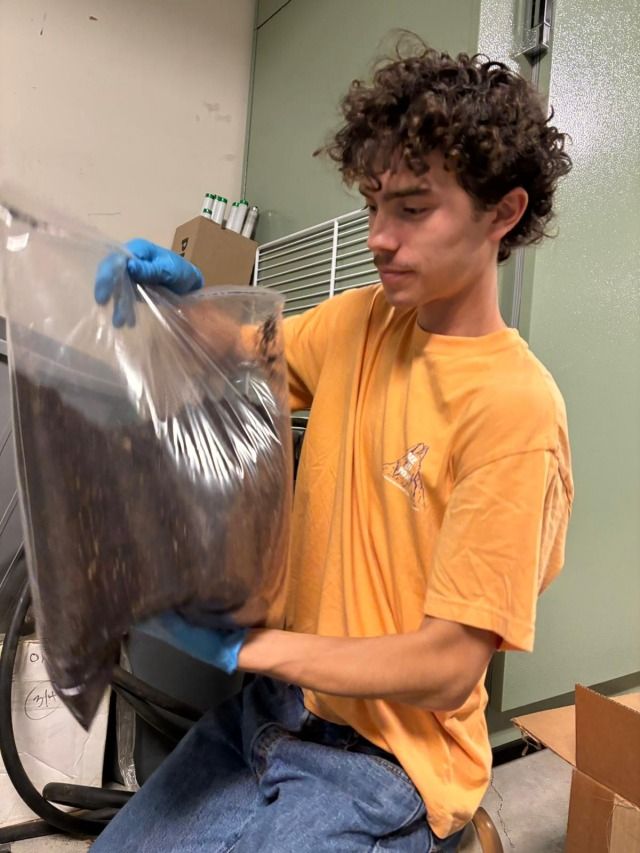 Image from After a long preparation period since collecting the soils from the field, the soil innoculation…