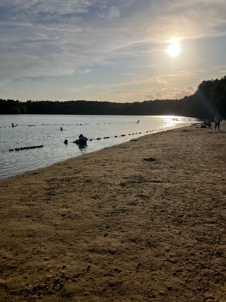 Walden pond 