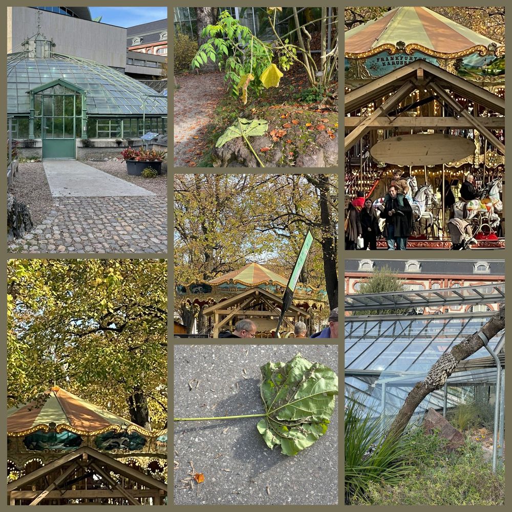 das Gewächshaus im Botanischen Garten steht auf dem Weg zum Petersplatz, dort war der letzte Messetag, zum letzten Mal in diesem Jahr wurde zum Kasperlitheater ausgerufen … Blätter fallen auf die Wege 