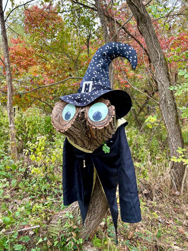 A tree stump dressed as a wizard 