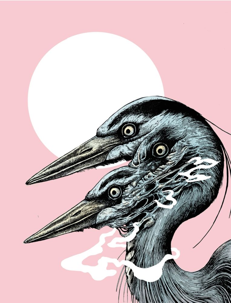 A three headed heron in body horror style with pink background 