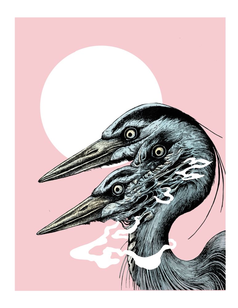 Three headed heron in a body horror style with a pink background 