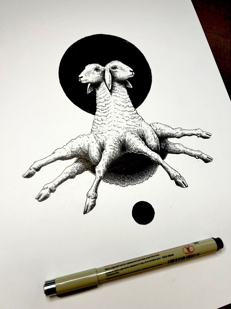 A six legged two headed sheep ink drawing. 