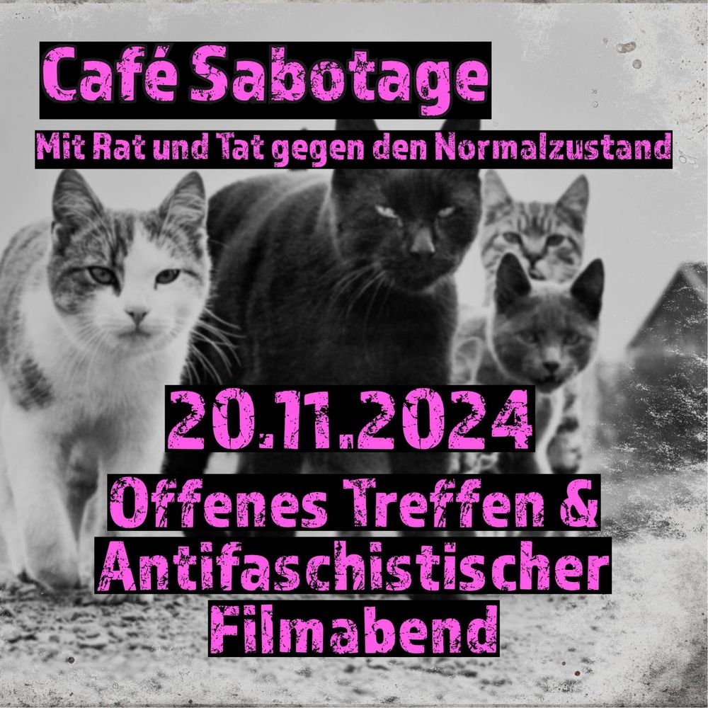 Foto einer Katzenbande die auf uns zu kommt in Graustufen. Darüber in pink/schwarzer Schrift die Informationen zur Veranstaltung:
Café Sabotage
Mit Rat und Tat gegen den Normalzustand 
20.11.2024
Offenes Treffen & Antifaschistischer Filmabend