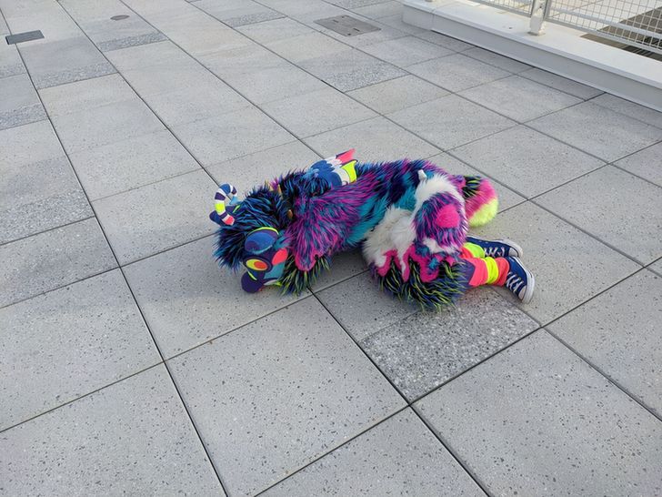 sparkle rika curled up on the ground 