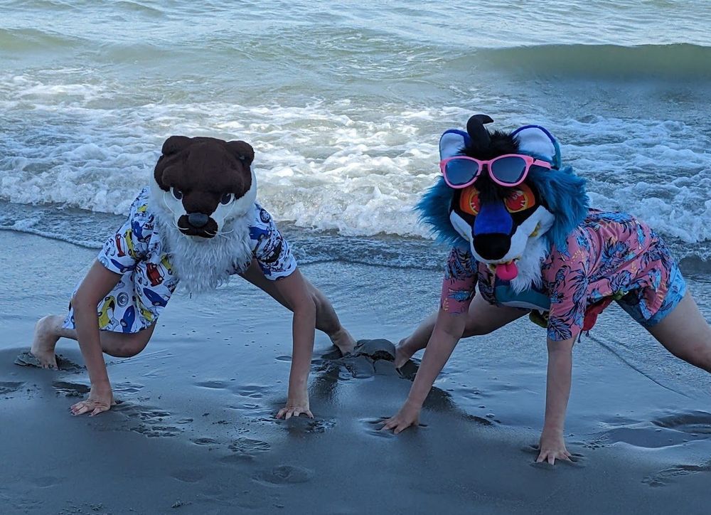 rika and ozzy on the beach (wearing fursuit heads but not bodies) in crouched, feral poses 
