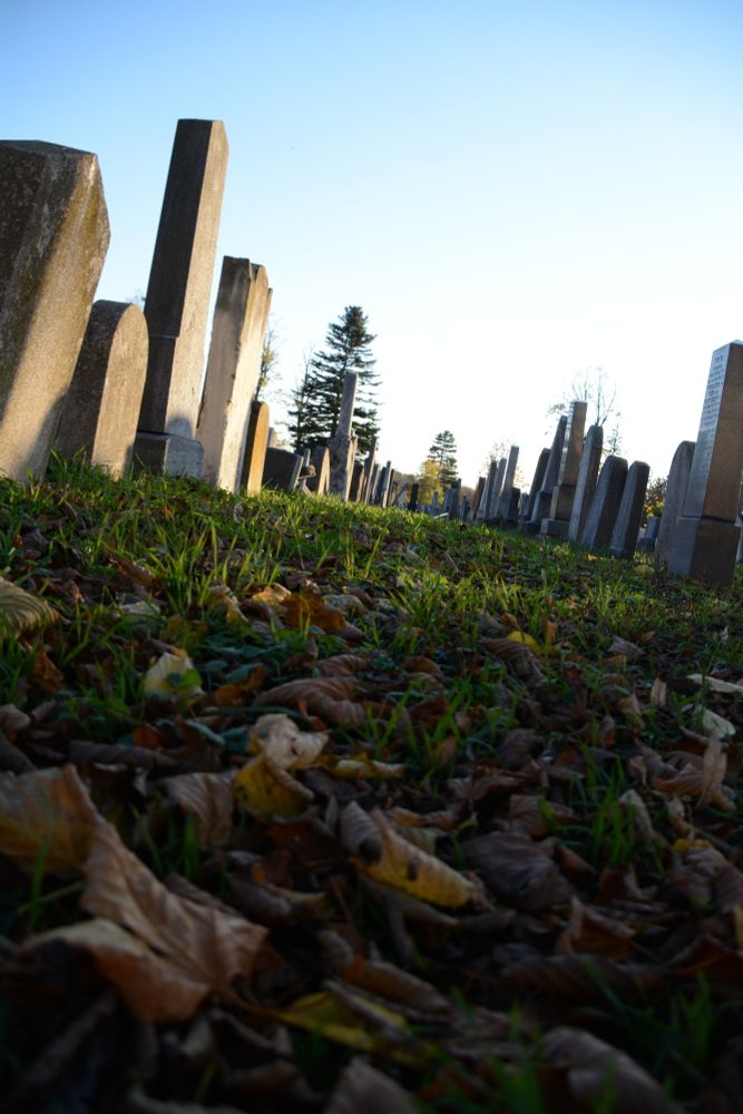 Autumn, many colorful leaves laying around, tombs to the right and left, the day is ending so the sky is going  dark