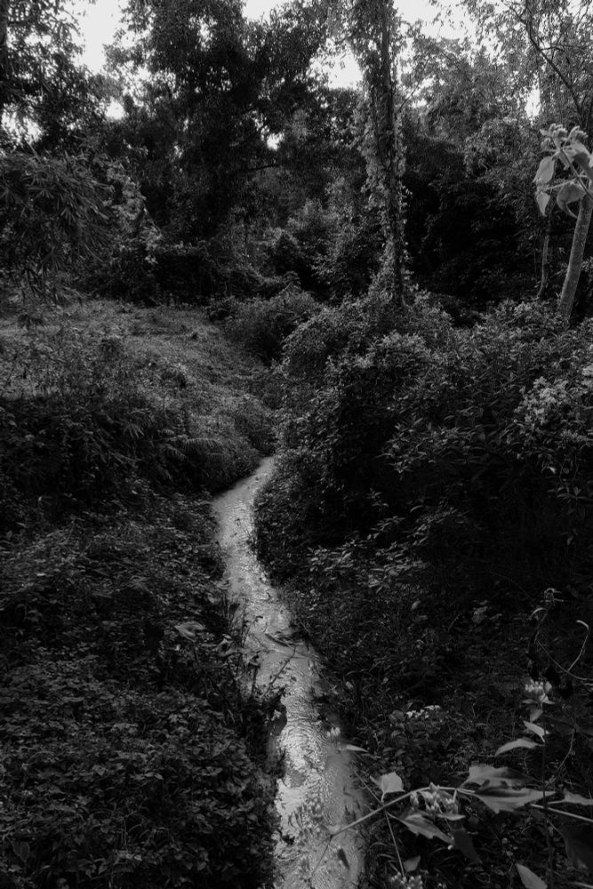 black and white photography