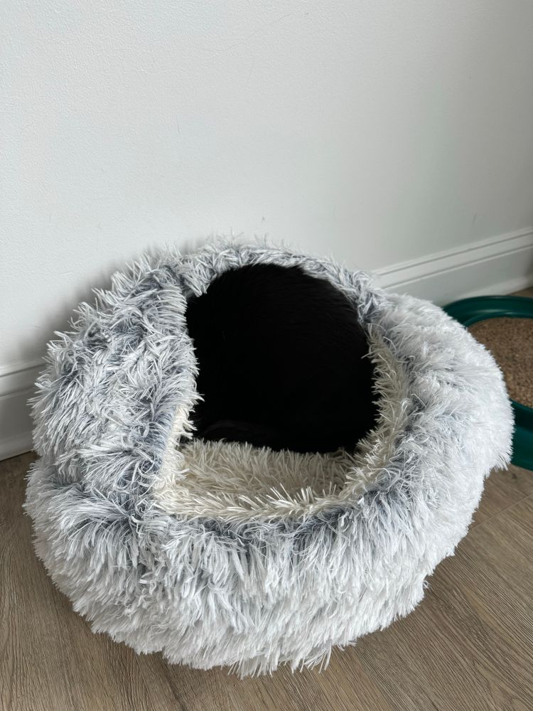 A black cat’s behind is visible, sticking out from a light blue fluffy cat bed. The cat’s head is hidden under the soft top of the cat bed